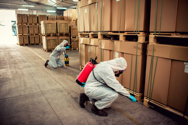 Best Best Pest Control Companies  in Weedpatch, CA