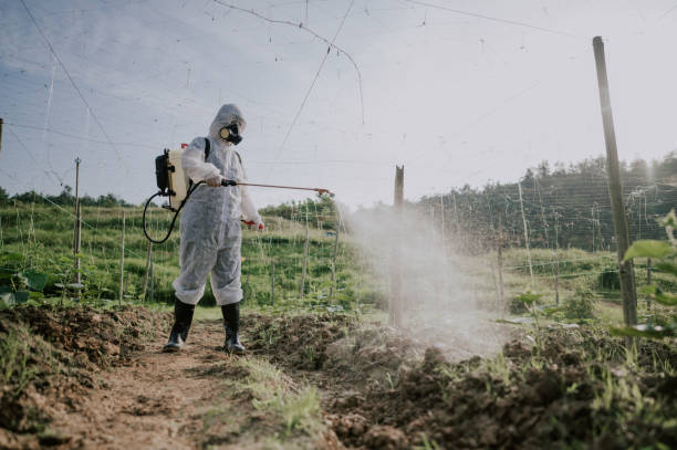 Best Mosquito Control Services  in Weedpatch, CA