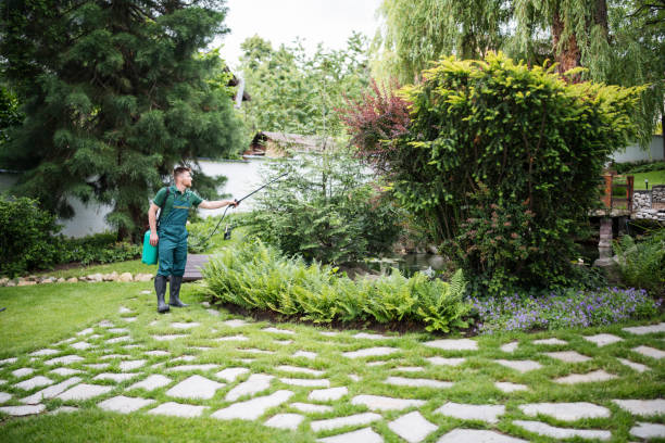 Best Insect Control  in Weedpatch, CA