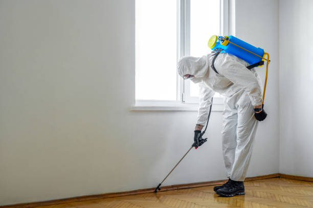 Best Pest Removal Services  in Weedpatch, CA