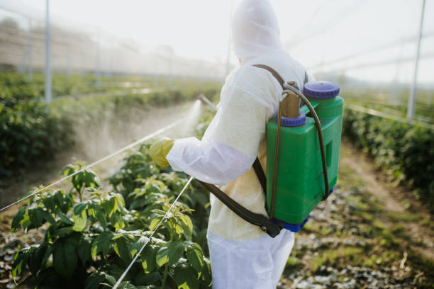 Best Pest Inspection Near Me  in Weedpatch, CA